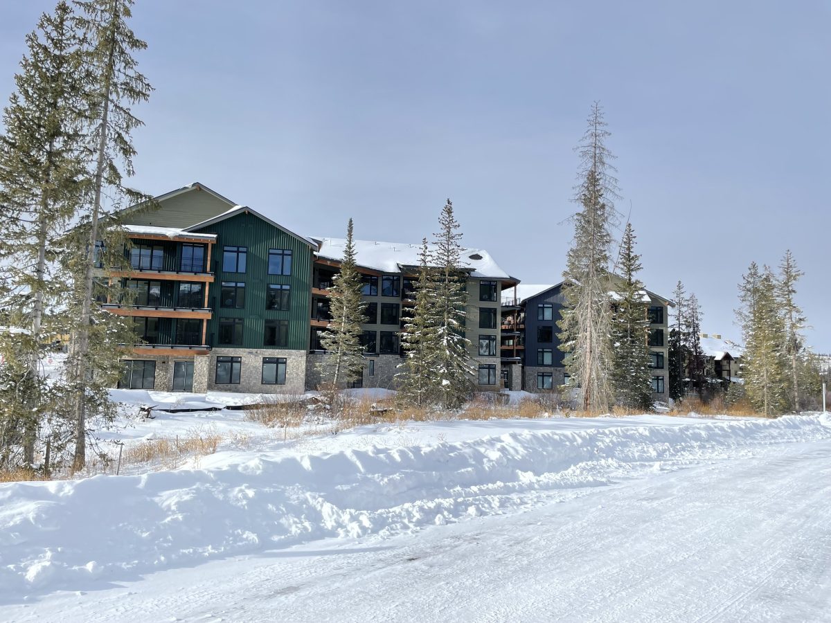 Timber Fox Neo Studio